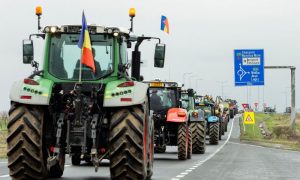 EU, Farmers, Grain, Ukraine, Exports, Bulgaria, Agriculture, Production, European Union