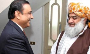 Maulana Fazlur Rehman, PPP, PML-N, Government, Pakistan Muslim League-Nawaz, Pakistan Peoples Party, Dialogue, Political