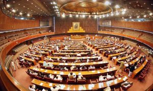 NA, National Assembly, Golden Jubilee, 1973 Constitution, Raja Pervez Ashraf