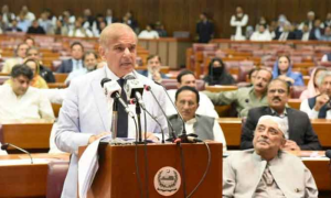 Government, PM Shehbaz, Prime Minister, Shehbaz Sharif, PDM, Economy, Diplomatic, Twitter, Federal, Transport
