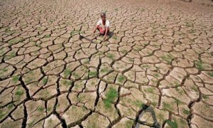 Heatwaves, Economy, Risk