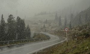 Rain