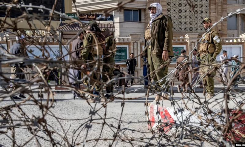 Taliban, Islamic State, Afghanistan, Balkh, Province, United States, US, UN, Group, Governor