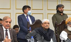 Government, Prime Minister, Shehbaz Sharif, Foreign Minister, Bilawal Bhutto Zardari, Finance Minister, Ishaq Dar, COAS, General Asim Munir, Supreme Court, Chief Justice, Chinese, Economic