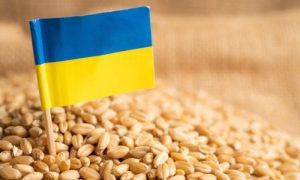 Slovakia, Poland, Hungary, Grain, Food, Products, European Union, Agriculture, Minister,