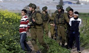 West Bank, Health Ministry, Israel, Palestine, Bethlehem, Ramallah, Jerusalem, Gaza Strip
