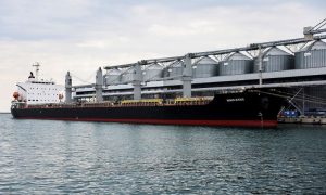 Grain, Deal, Challenges, Russia, Istanbul, Ukraine, UN, Turkiye, Black Sea, Food, Fertilizer