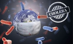 Cholera