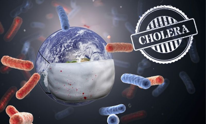 Cholera