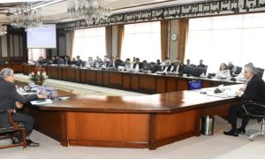 Finance Minister, Economic Coordination Committee, Meeting, Minister