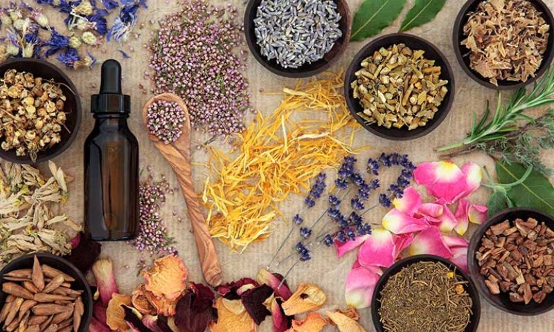 Herbal