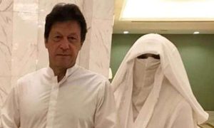 Imran Khan, PTI, Pakistan Tehreek-e-Insaf, Leaders, Department