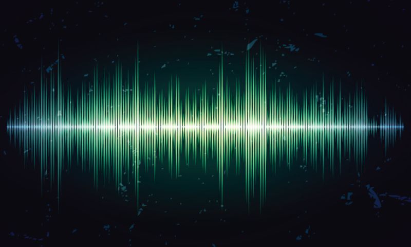 Audio, leak, facts, IIOJK