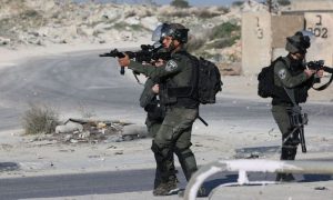 WB, West Bank, Raid, Forces, Palestine