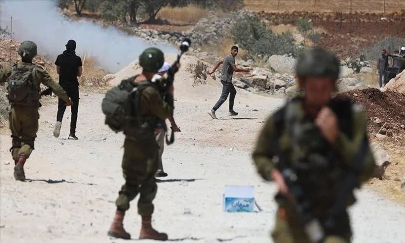 media, car, home, gas, security, Israeli, army, injures, Palestinians, fire, bombs