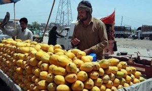 Pakistan, Mango, Islamabad,
