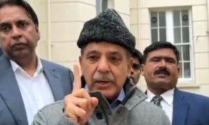 PM, Shehbaz, London
