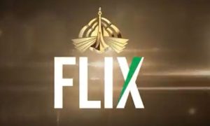 Pakistan, PM, PTVFlix, Video, Streaming, Prime Minister, Tweeted, Shehbaz Sharif, Minister, Marriyum Aurangzeb