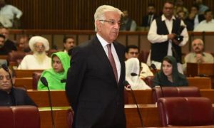 Parliament, Review, CJP, Reference