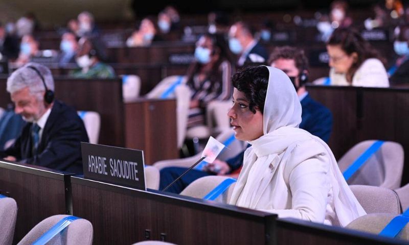 Paris, the Kingdom of Saudi Arabi, UN, UNESCO, Sustainable Development Goals