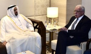 Qatari Minister Meets Palestinian Foreign Minister in Cairo