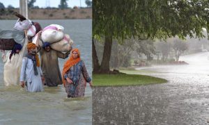 Rains