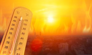 Climate change, Vietnam, records, temperature