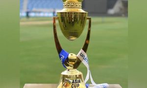 Asia Cup, Pakistan, India, Sri Lanka, PCB, Cricket, BCCI, South Africa, Dubai, Weather, UAE, Ireland, Zimbabwe, West Indies, Australia, World Cup, ICC, Media, Tournament