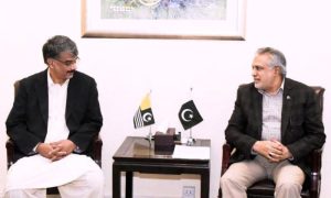 AJK, Minister, Schemes, Senator
