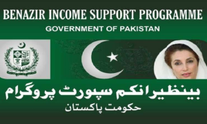 Finance Minister, Ishaq Dar, budget, billion