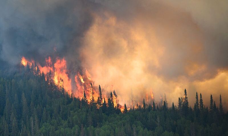 Canadian, Wildfire, Emissions, temperatures
