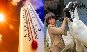 Eid Ul Adha, Celebrations, Weather, Sunny, Pakistan, Pakistan Meteorological Department, PMD, Swat, Azad Kashmir, Peshawar, Lahore, Karachi,