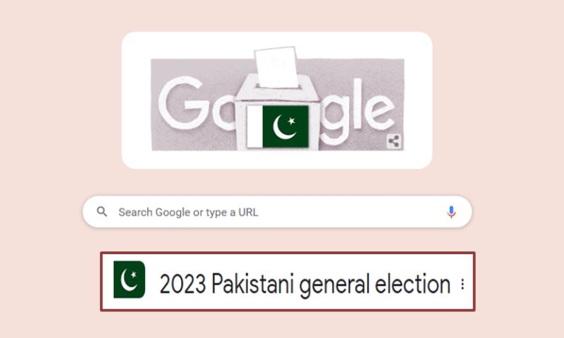 Google, Google Doodle, Pakistan, General Elections