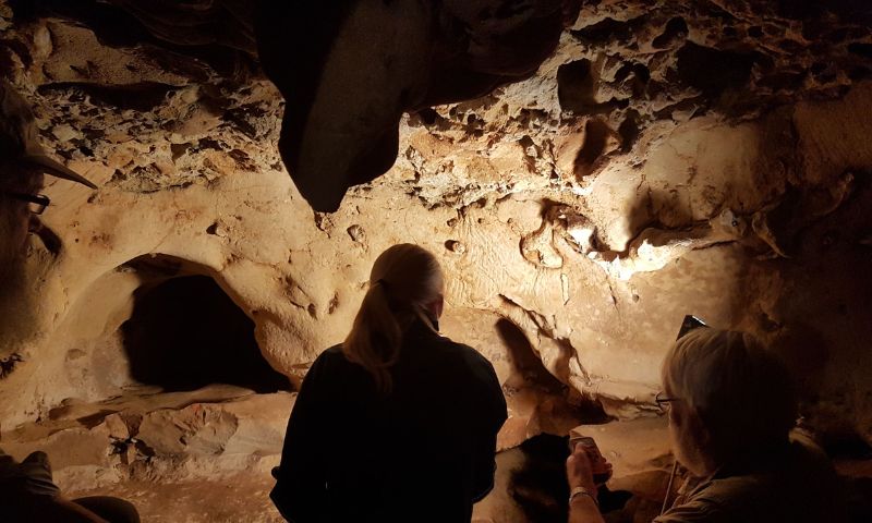 Neanderthal