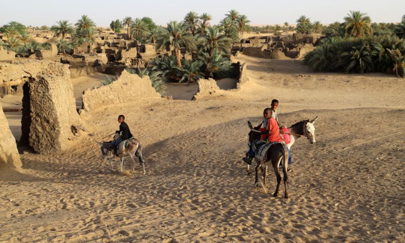 Nigerien Sahara