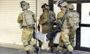 OIC, Palestinian, Israeli, Organization of Islamic Cooperation, Occupation