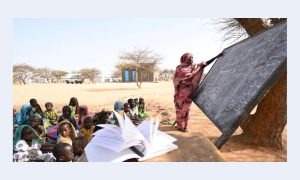 OIC, Sudan, Chad, Refugees, Sahel, Assistance, Government, Pakistan