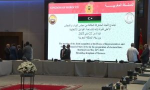 OIC, Libya, Morocco, Democracy, Kingdom, Support, Committee, Government