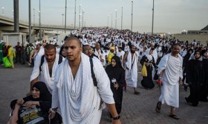 Pakistani, hajj, pilgrims, Saudi Arabia, medical, group, Makkah, Madinah, Jeddah, flights, millions