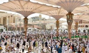 Hajj, Pilgrims, Madinah