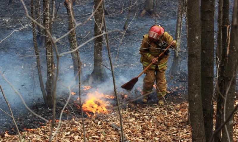 Kazakhstan, Forest, Fire, Abay, Minister, Rescue, Resources, Government