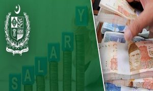 Government, increase, Budget, federal, minister, Ishaq Dar