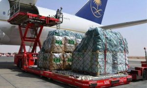 Saudi, Relief, Plane, Sudan, International, Airport, Medical, Centre, Directives, Prime Minister, People