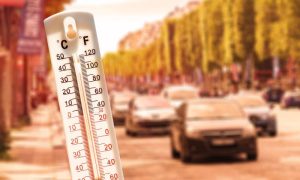Heatwave, heat, India, deaths