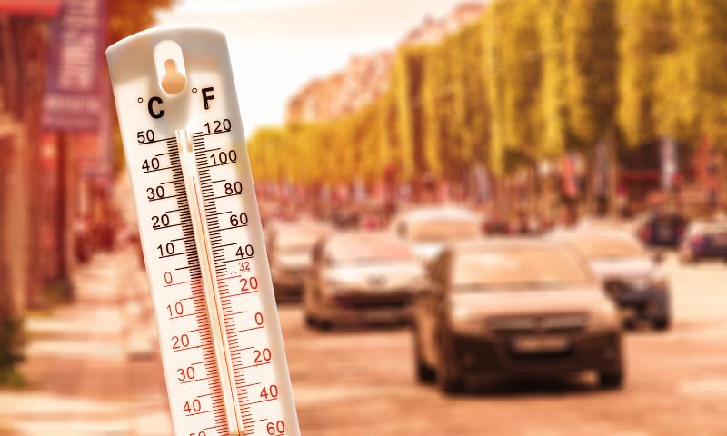 Heatwave, heat, India, deaths