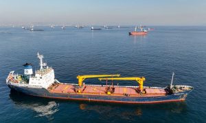 Grain, Black Sea, UN, Turkey, Russia, Grain, Deal, Await, Response