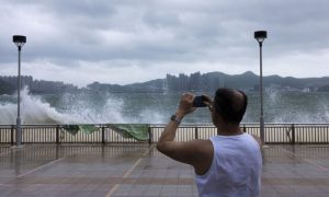 Typhon, Hong Kong, Signal