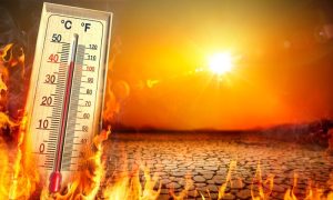 Weather, Hot, Humid, Country
