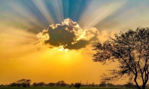 Weather, Met, Predicts Hot, Humid