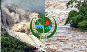 NDMA